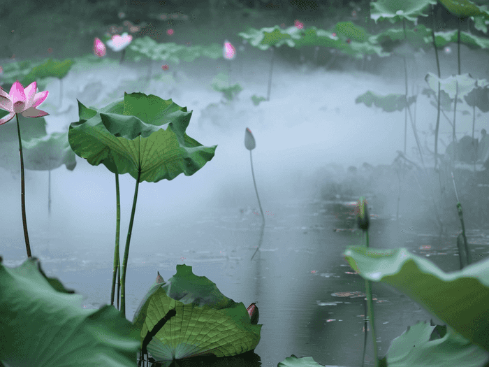 袁惠英语老师怎么样