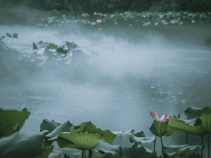 花间英语单词怎么写读