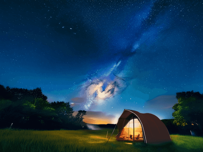 小新星英语的老师怎么样