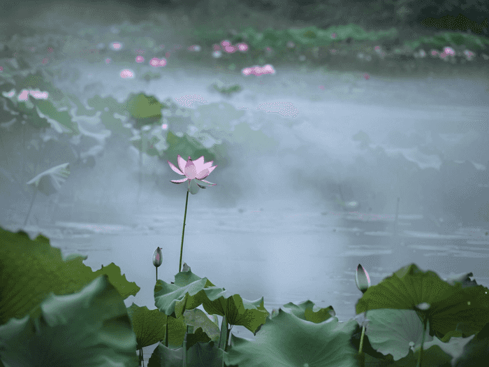 山师师范类专业怎么样