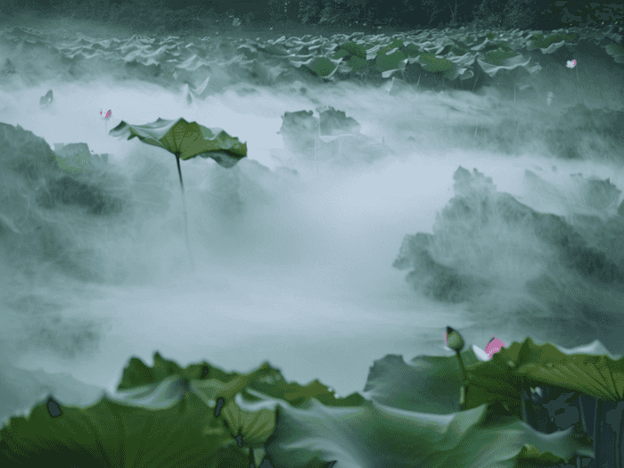 湘西师范学校单招哪个好