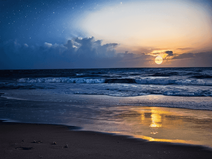 中专高考要考多少天