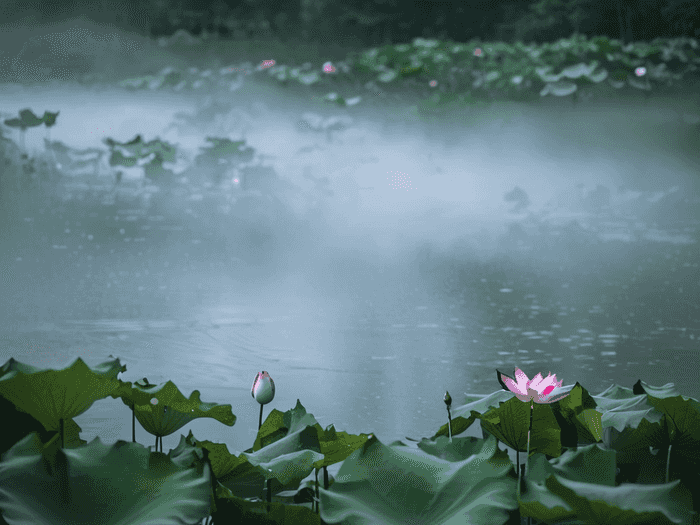 api是什么经济学
