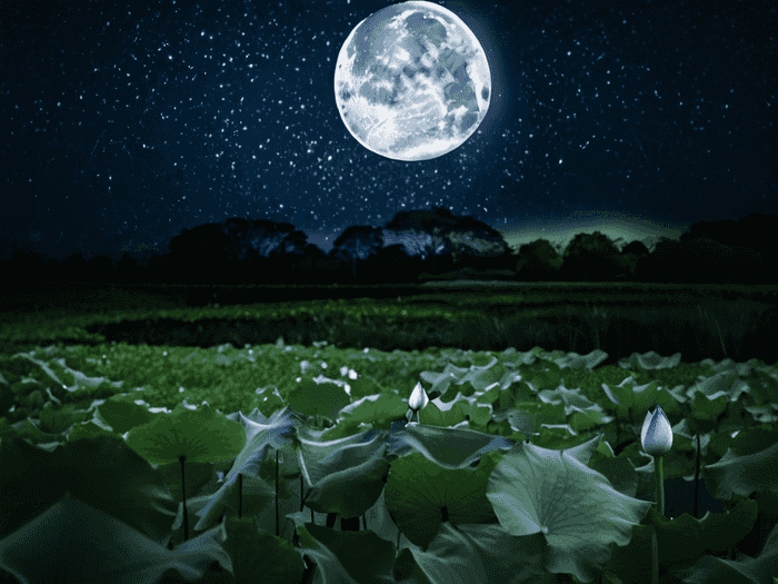 上技校每天干什么