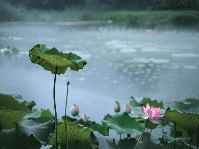 延吉师范中专在哪里上学