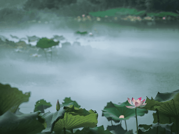 厨师技校哪里学好