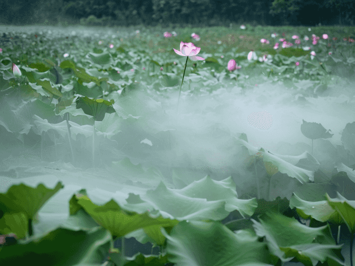 河北成考民法考什么科目