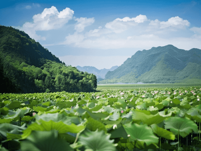 高考监考员准备什么书籍
