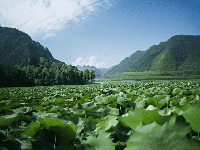 留学情侣怎么住一个房间