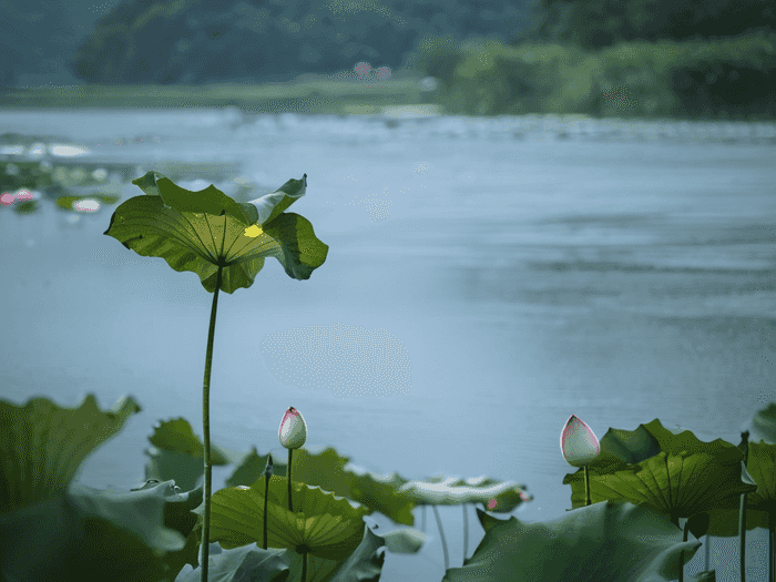 留学住在校园里怎么办理