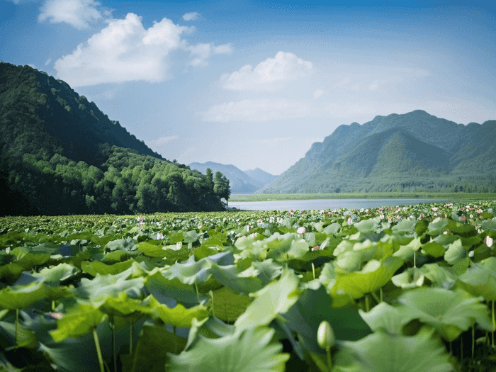 高三想去留学怎么办理