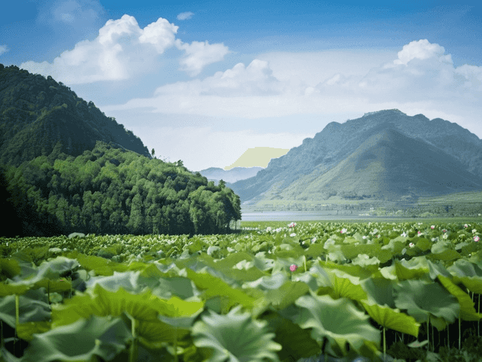 专升本管理学提前多久学