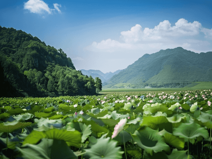 留学行李箱绑带怎么绑