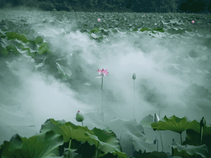 高考体检要带什么去医院