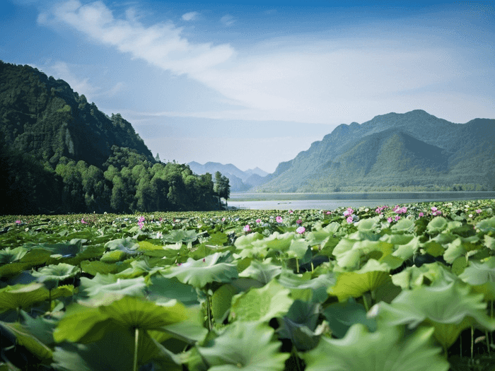 成考怎么考艺校大学本科