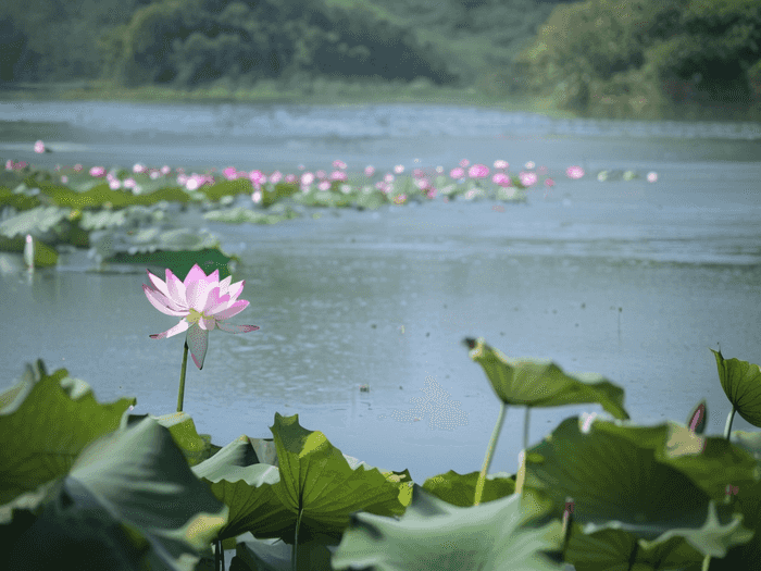 留学宿舍抽油烟机怎么用