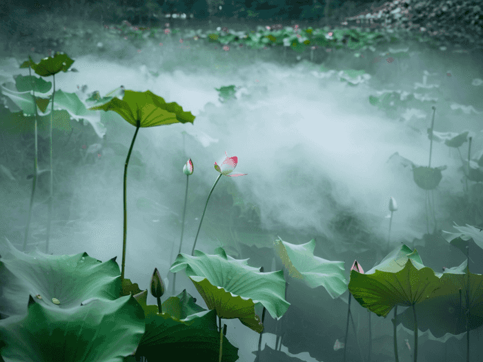 公派留学