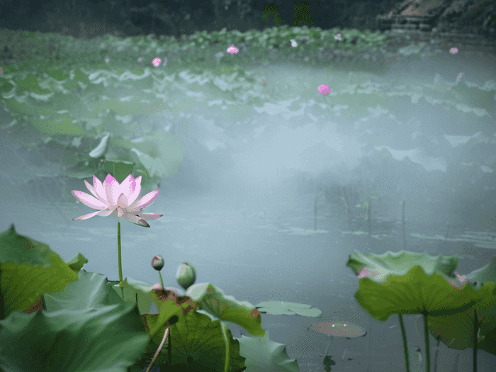 香河有多少大学