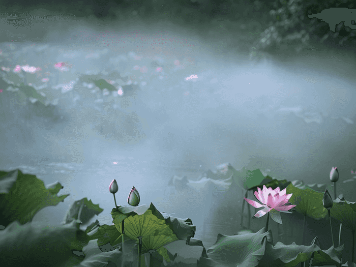 成考水利水电专业考什么