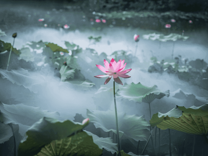 专升本前后花费需要多少