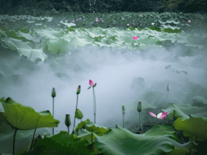 湖南专升本花费大概多少