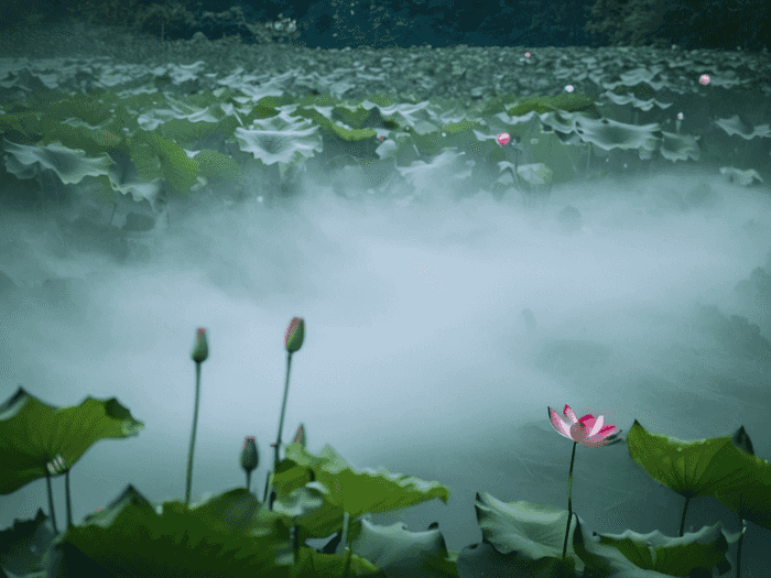 成考师范类学校哪个好考