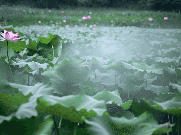 莱芜专升本招生费用多少