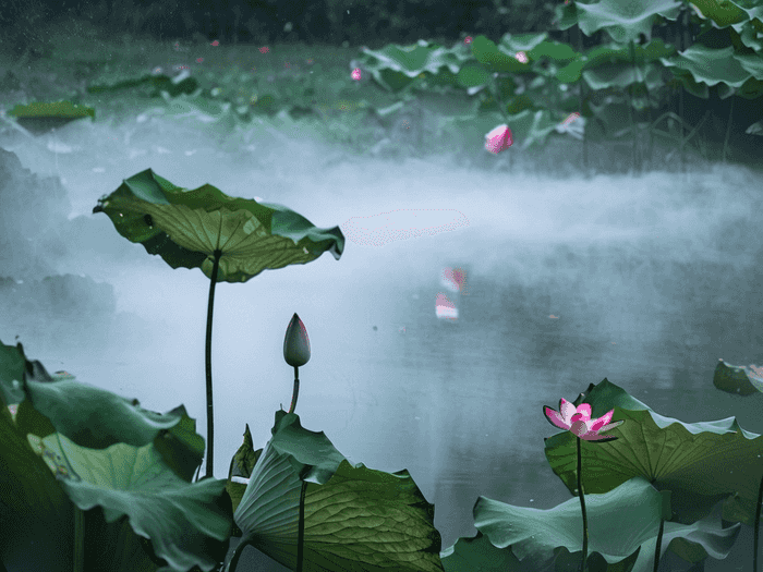 想留学怎么下手快一点