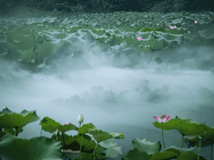 高考月考叫什么