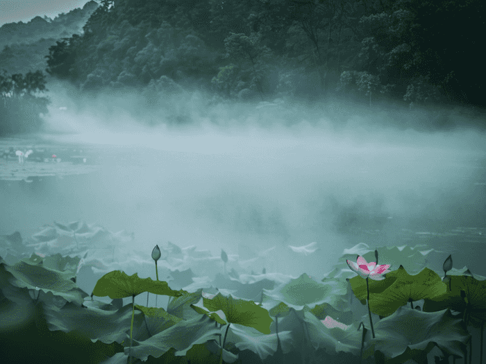 芷江成考院校哪个好点