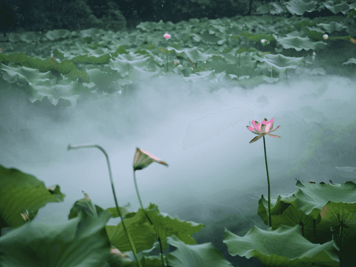 高考能拿什么