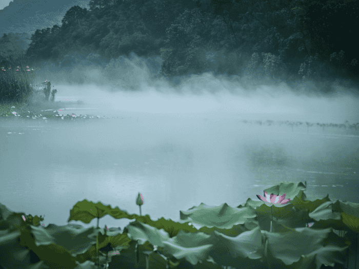 上大专怎么提档案到大学