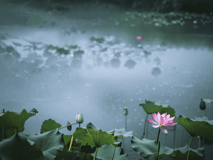 东北经济大学多少分