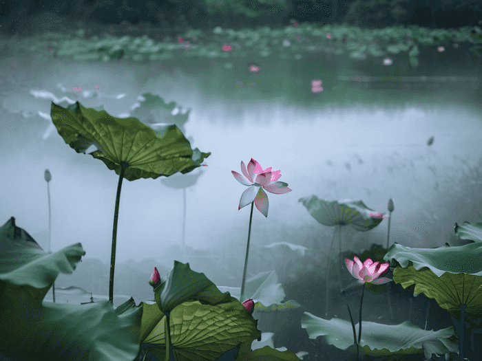 高考花束卡片写什么