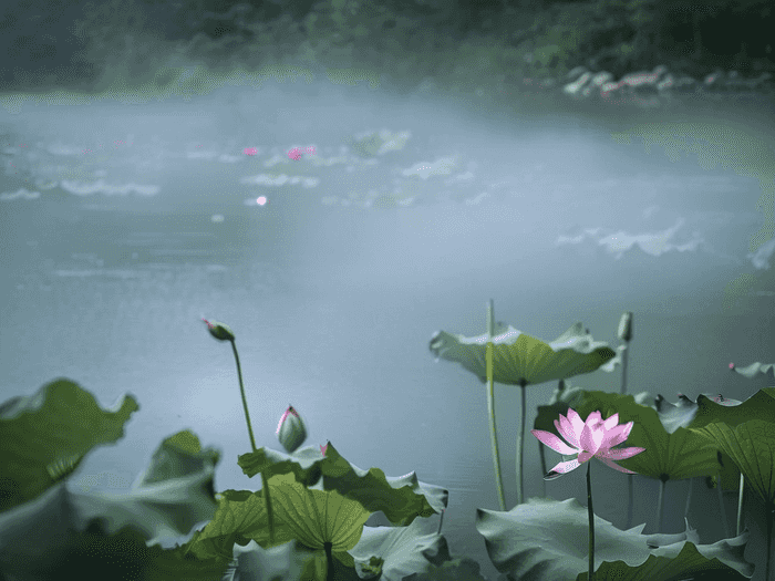 瑞安专升本花多少钱
