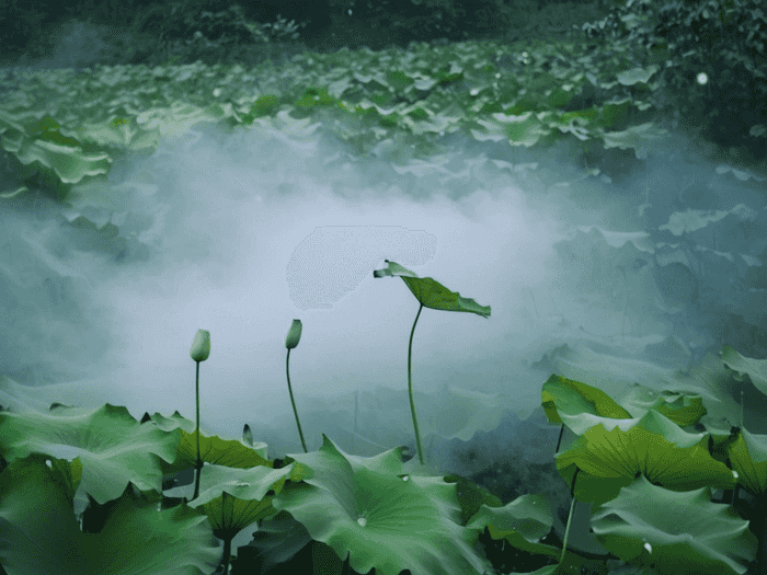 医学专升本花费多少钱啊
