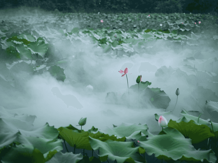 济南传媒学校怎么样