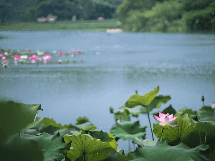 d是多少分大学里