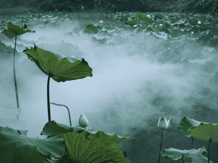 江西人考师范要多少分数