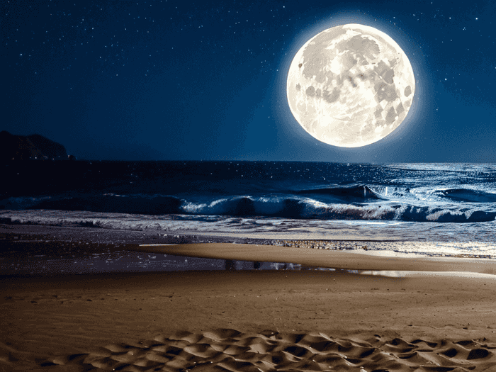 海南专升本还有多少天