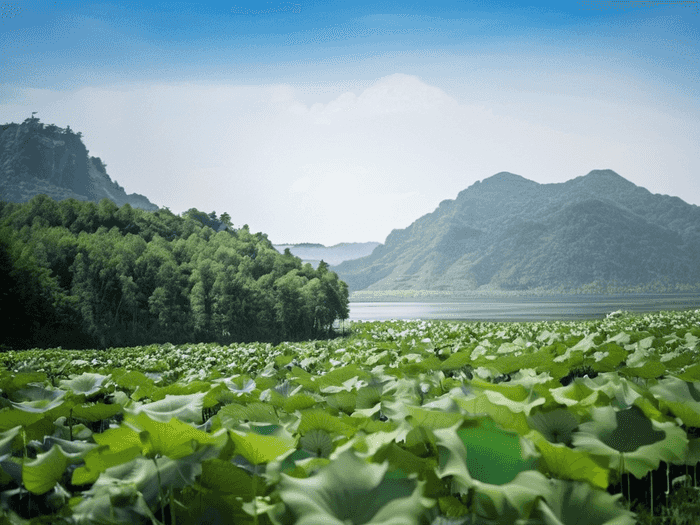 成考数学零基础裸考怎么考
