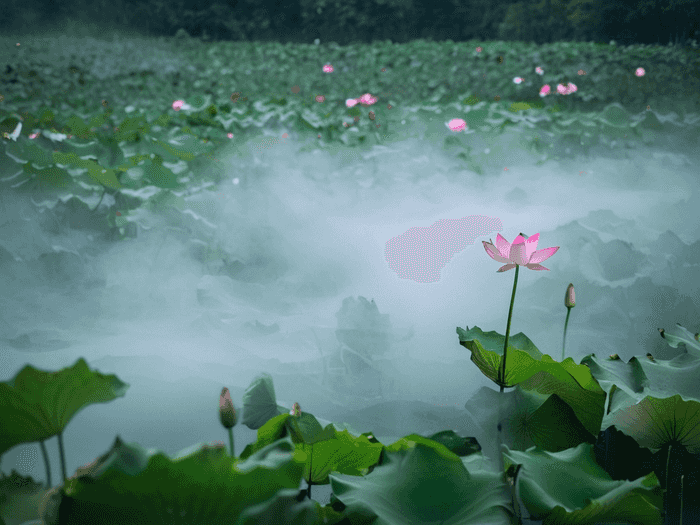 博士生看牙膏怎么样