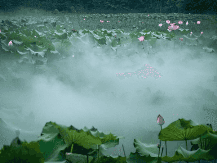 汕尾高考报名地方选什么
