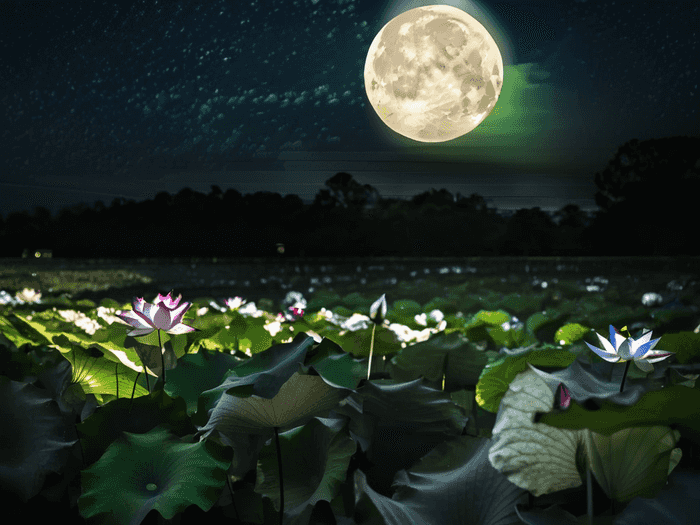 国防科大何时招博士