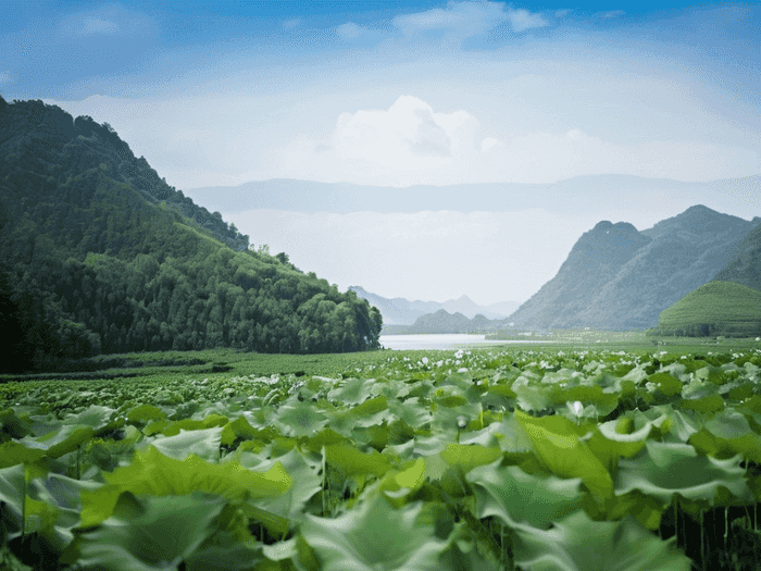 大学生遇到师哥该怎么办