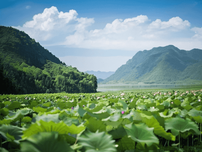 大专进江铜干什么
