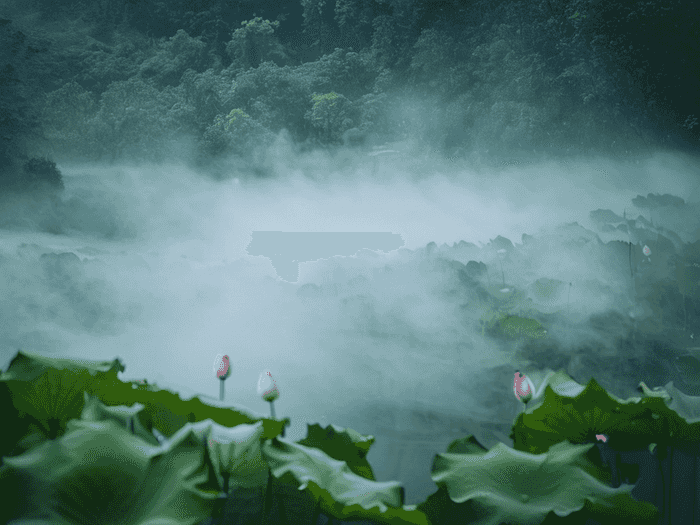 商洛专升本考生有多少