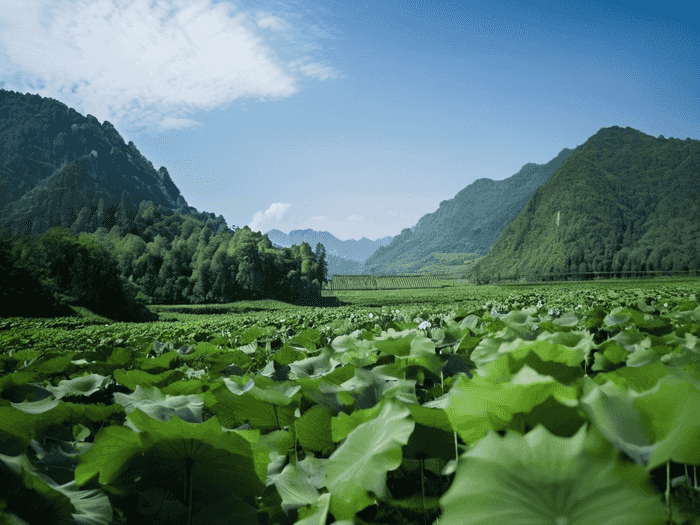 留学生找实习怎么找