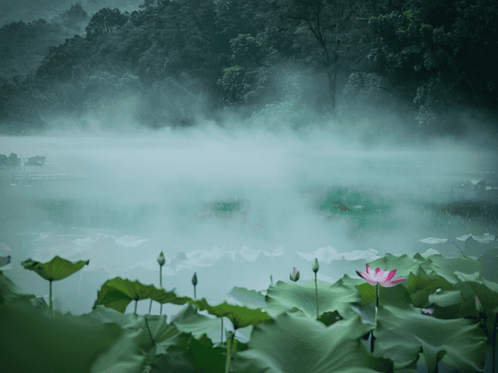 初中生物如何提前预习