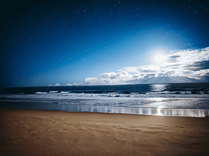 海勃湾成考在哪里考